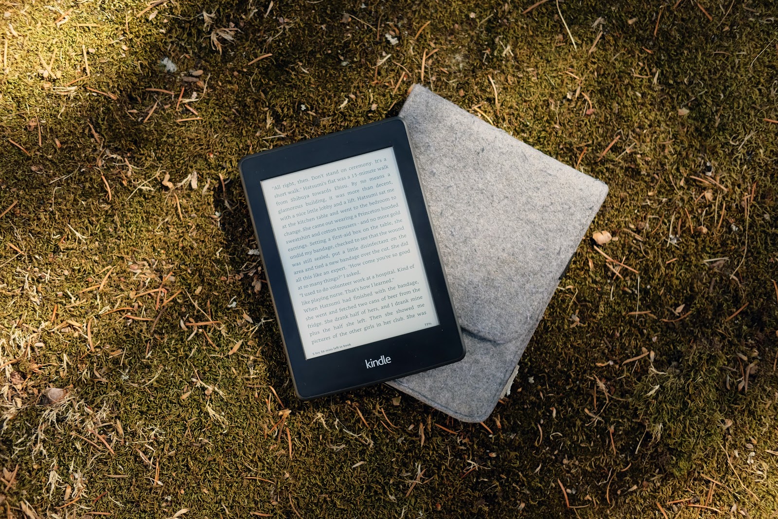Kindle reading device and grey felt cover laying on the grass.