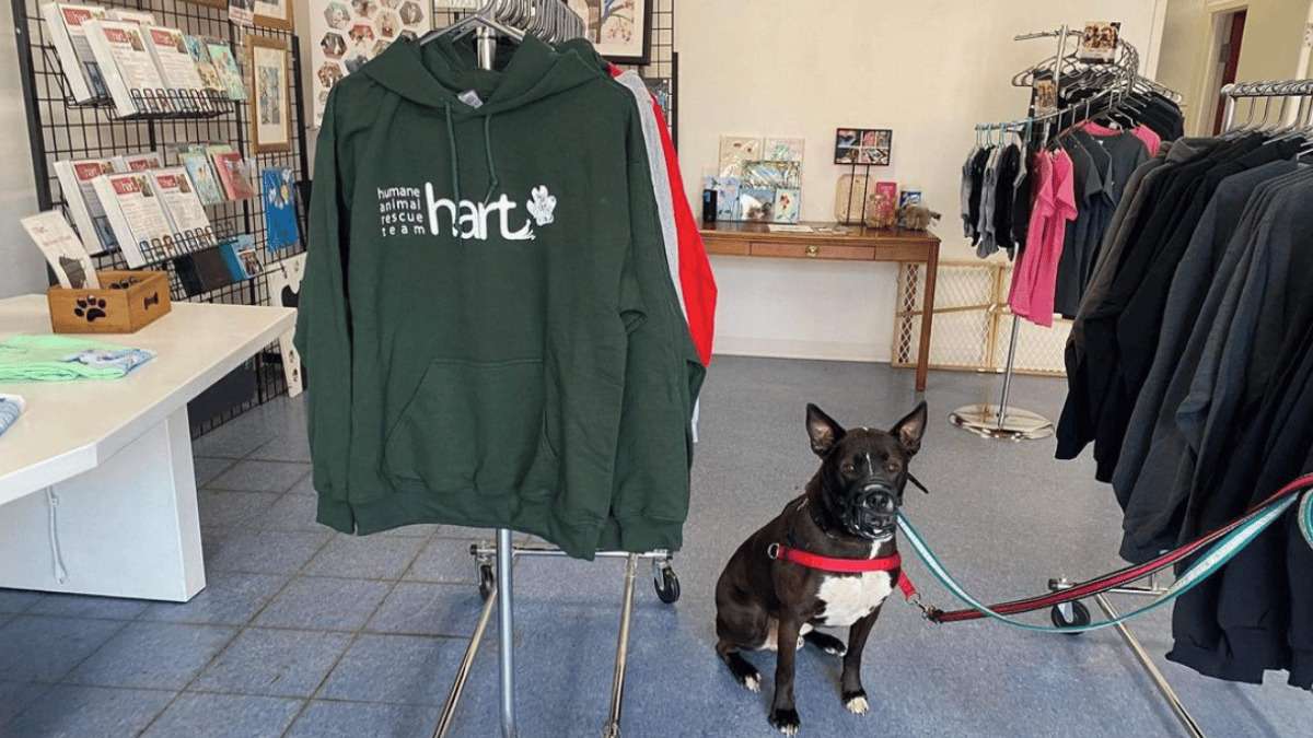 16 Fundraising Merchandise Ideas for Non-profits [& Pricing]