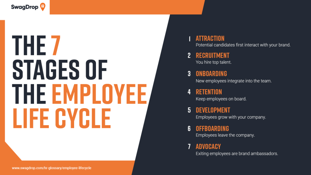 a graph showing the seven stages of an employee lifecycle.