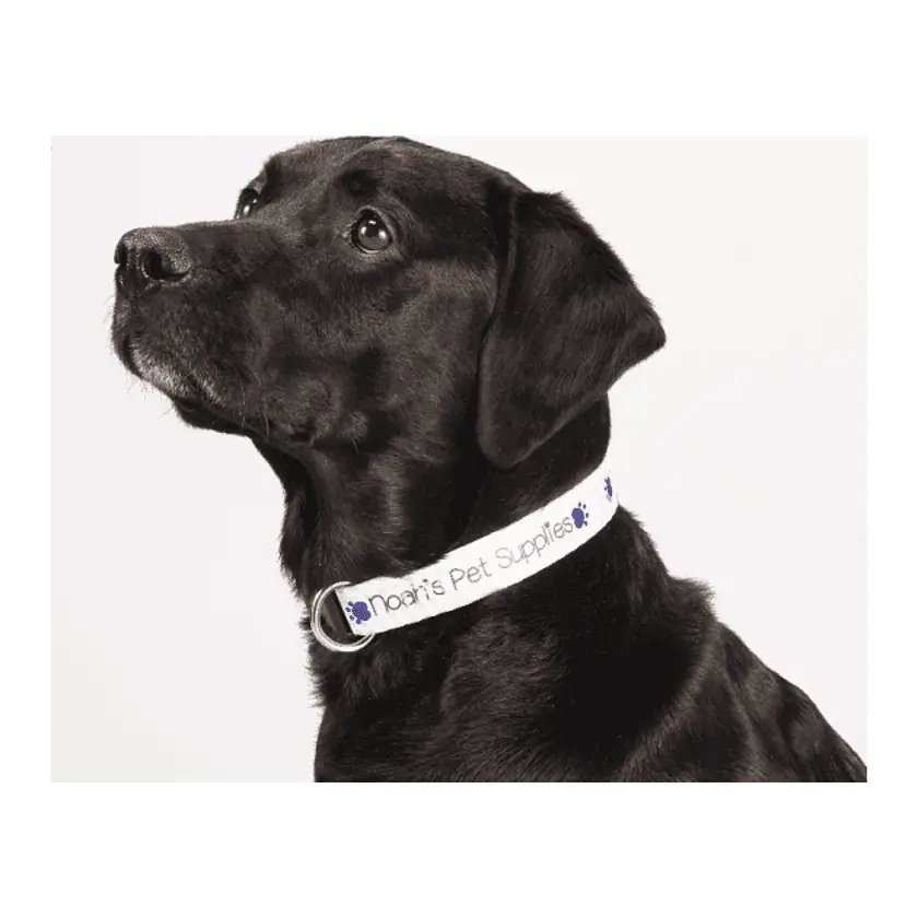 Full Color 1” Wide Adjustable Pet Collar