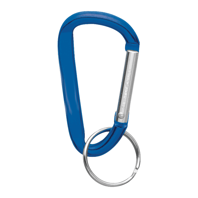 Small Carabiner Key Ring