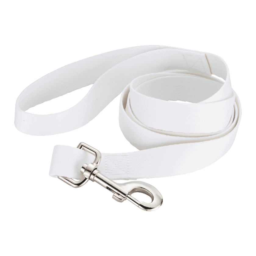 Full Color 1” Wide Premium Pet Leash