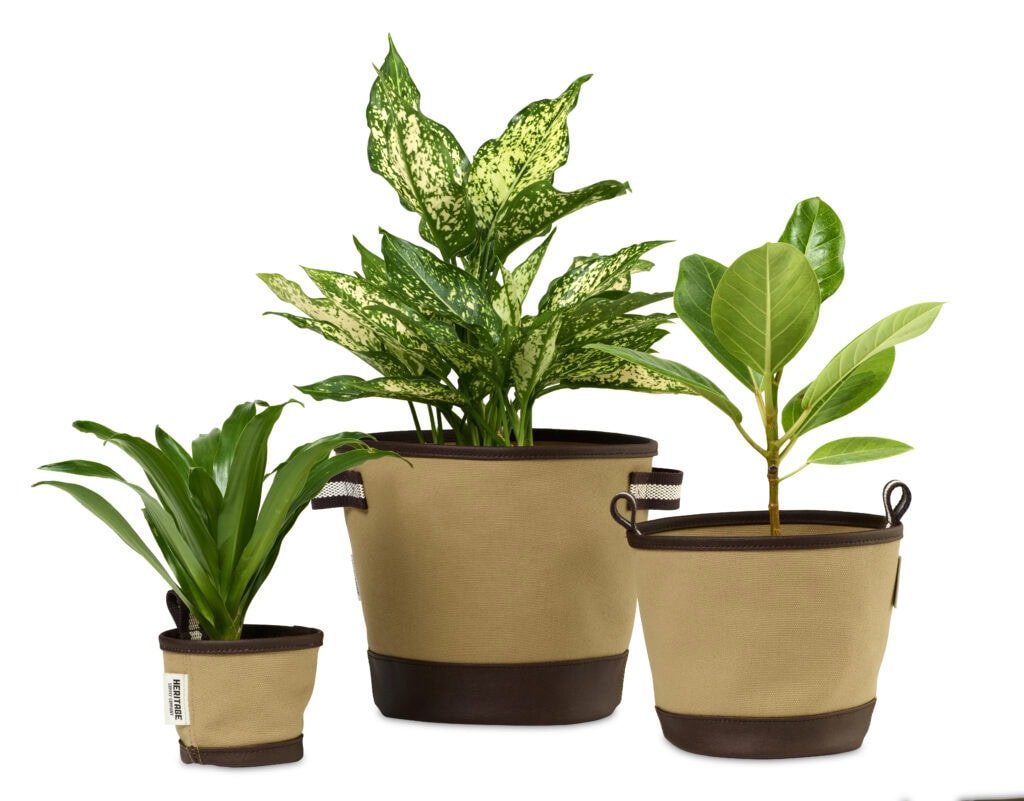 Heritage Supply™ Plant, Grow and Store Trio of Pots