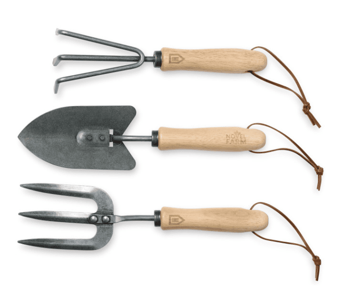 A cultivator, a trowel and a hand fork.