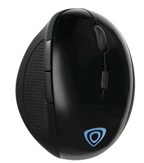 Screenshot of a black mouse.