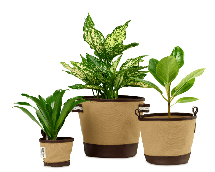 SwagDrop Heritage Plant, Grow and Store Pots that support root growth and have stylish, versatile canvas designs.