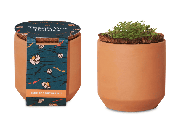SwagDrop Modern Sprout Grow Kit featuring a mini terracotta planter with all essentials to grow daisies.