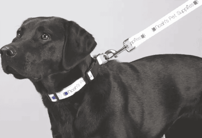 SwagDrop Full-Color Wide Premium Pet Leash, in white, made of durable polyester, ensuring a secure and comfortable grip for dog owners.